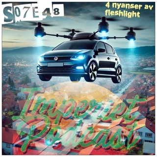 S07E48. 4 nyanser av fleshlight