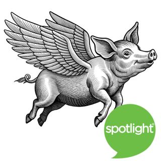 English Idioms: Animals
