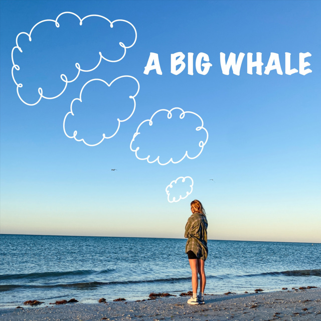 A BIG WHALE