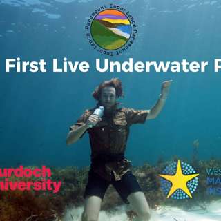 Ep 38 World's First Live Underwater Podcast