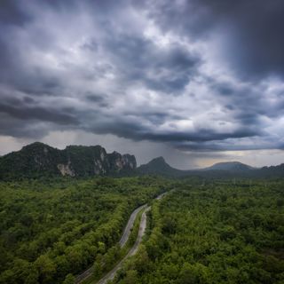 Forest Rain and Thunder - 10 Hours Sleep Sound