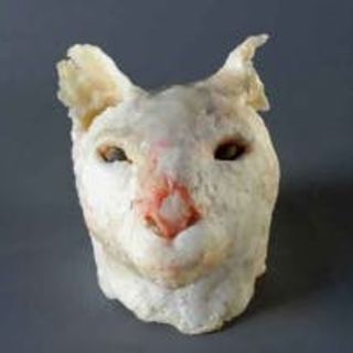 Jan Harrison's “Animal Tongues”