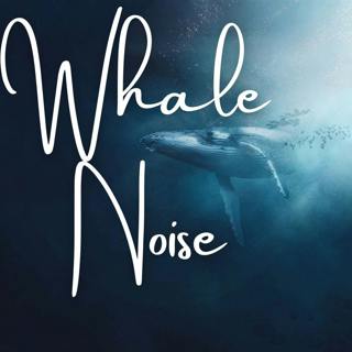 Whale Sounds - Fall asleep to Nature Sounds in 20 minutes