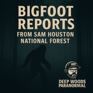 Bigfoot Reports from Sam Houston National Forest | Deep Dive & Analysis