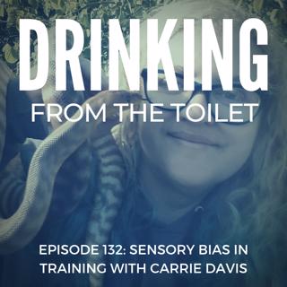 #132: Sensory Bias in Training with Carrie Davis