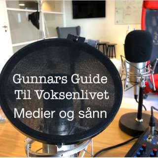 Medier og sånn