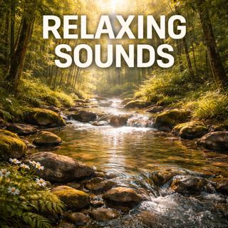 Relaxing Sounds – Gentle Creek in Summer | Sleep, Study, Focus | (8 Hours)