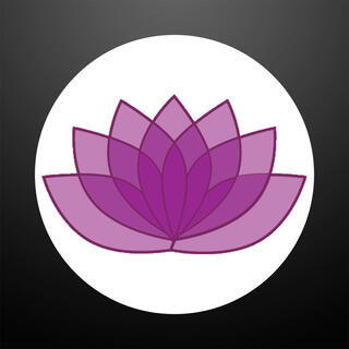 Episode 165: Everyday Flow (Audio Only)