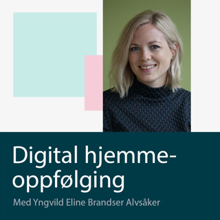 Velferdsteknologi i kommunale hjemmetjenester