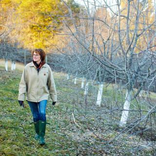 308: Virginia's First Lady of Cider | Diane Flynt