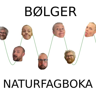 Bølger