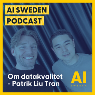 ”Garbage in, disaster out” - Om datakvalitet, data-trust och databaserat affärsvärde plus hur AI kan hjälpa er lösa era datautmaningar - Patrik Liu Tran, Validio