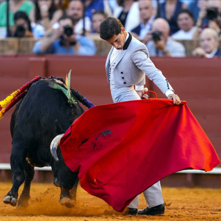 Russian energy, parasocial relationships and bullfighting