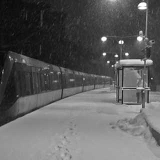 Ann föll ner på tunnelbanespåret: Förlorade sitt ben