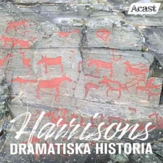 Den svenska stenåldern