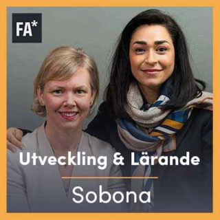 Utveckling och lärande behöver vara livslångt - Sobona