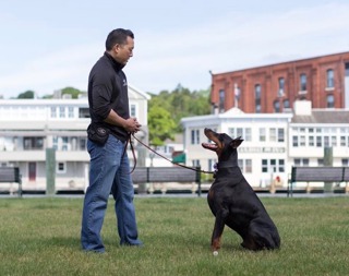 Michael Shikashio – Complete Canine: Aggressive dogs