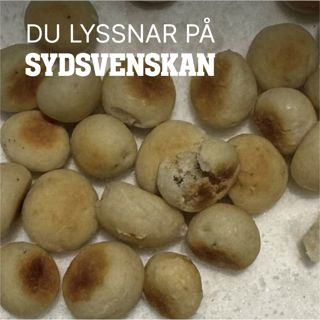 Vem lägger ut de livsfarliga hundbullarna?
