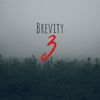 59: Brevity 3
