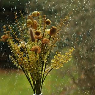 😴🌧️🎵Soft MUSIC and Torrential RAIN: A Soothing Duo for Deep SLEEP