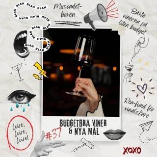 37: Budgetbra viner & nya mål