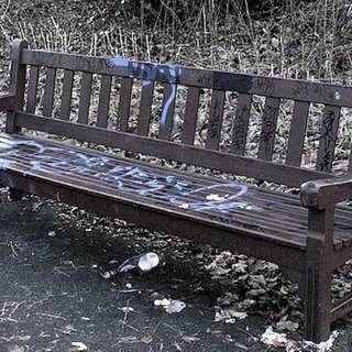 Hemmasittaren som sov ute