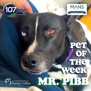 a2VV: HSHV Pet of the Week 4/23/26