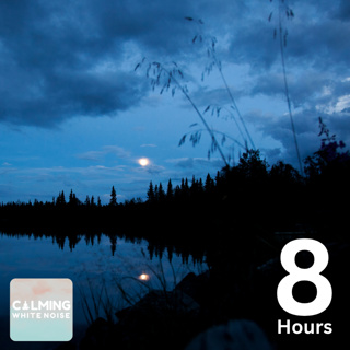 Small Creek with Crickets Chirping (8 Hours) | Relaxing Water Sounds for Focus