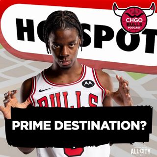 Does Caleb Wilson SINGLE-HANDEDLY Make the Bulls a FA Hotspot? | CHGO Bulls Podcast