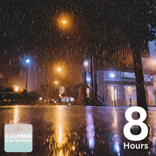 Soft Rainy Night Ambience for Sleep and Relaxation (8 Hours)