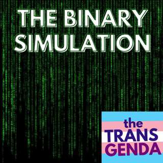 The Binary Simulation (with Guest AJ)