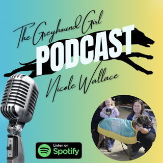 Episode with G3 New Sensation Winning Trainer, Nicole Wallace. 