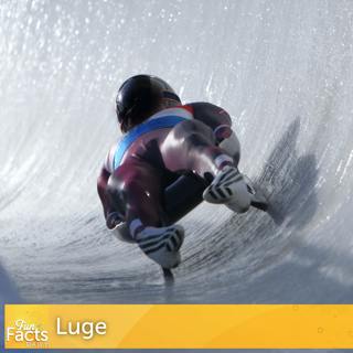 Fun Facts About Luge
