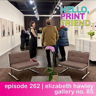 episode 262 : elizabeth hawley of gallery no. 85