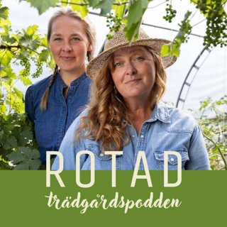 Vintersådd med fokus på paprika och sticklingar