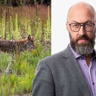 Bland hundar och coyotes: Jens Möller, San Francisco