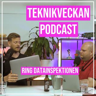 Ring Datainspektionen