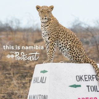 Large cats of etosha