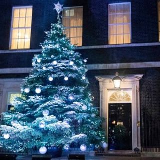 Will Boris get his Christmas general election?