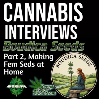 How to Make Feminised Seeds at Home | Breeding Tips with Boudica Seeds | Grow Guides x Interview Special