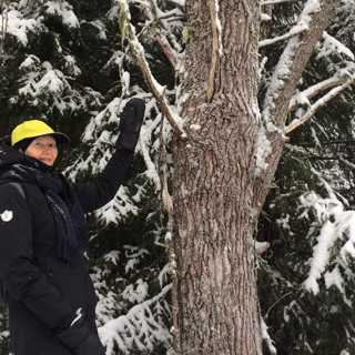 Minskat skydd för arter i skog och kring strand
