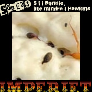 S08E09. 5 l i Bonnie, mindre i Hawkins