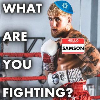 What Are You Fighting ⁉️