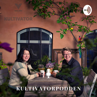 Inntrykk fra FolkeLarm & Tone Ingvaldsen