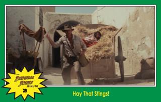 Raiders Minute 39: Hay That Stings! with Scott Rosann