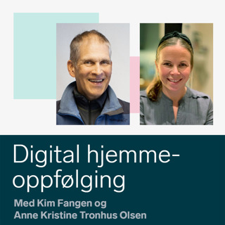Frivilligkoordinering og arbeidsinkludering