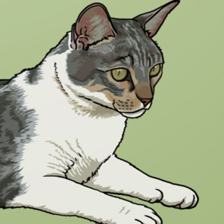 A Final Felid & Farewell