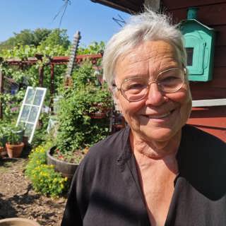 Torv i jordsäckarna bidrar till utsläpp