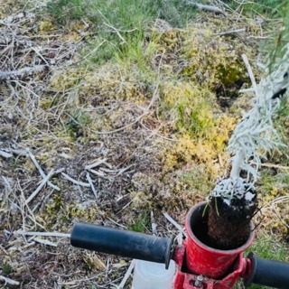 Avsnitt 88 - Skogen lyfter din ekonomi!