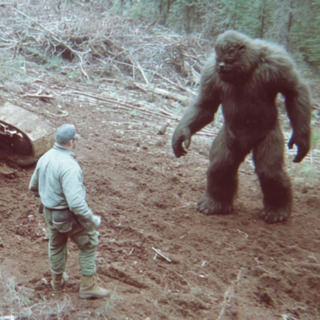 11 TRUE SCARY CREATURE ENCOUNTER HORROR STORIES